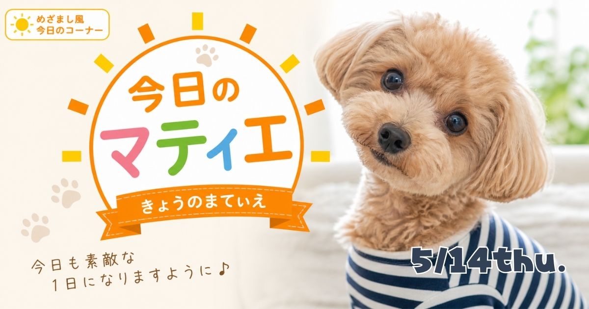 2026年5月14日 今日のマティエ｜大阪日本橋 添い寝リフレ マティエ キャストたちの日常と出勤情報 店長のぼやき