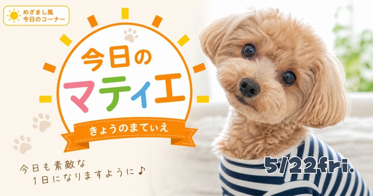 今日のマティエ 5/22fri.