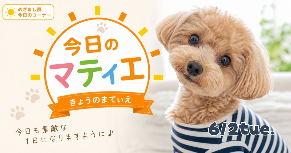今日のマティエ６月２日火曜日
